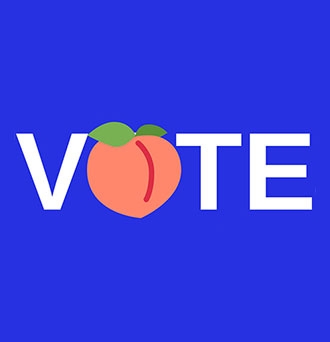 Vote in Georgia
