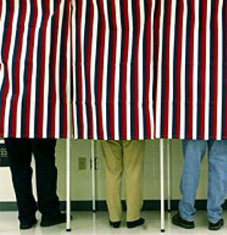 People voting in voting booths.