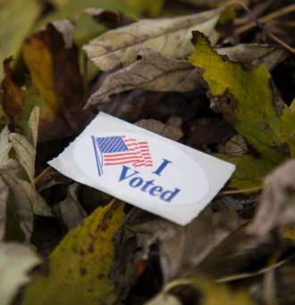 I Voted sticker on pile of leaves